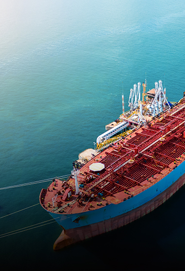 Navires marins